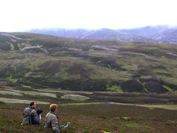 Chasse en Ecosse