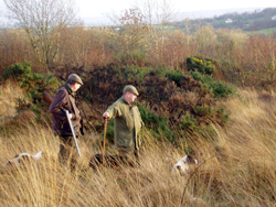 Chasse en Irlande