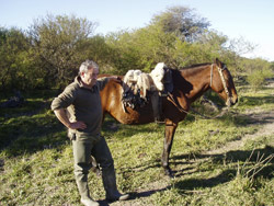 Chasse en Argentine