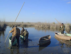Chasse en Azerbaidjan