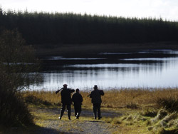 Chasse en Irlande