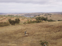 Sénégal